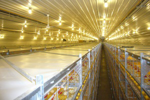 New distributor of Jansen Poultry Equipment announced