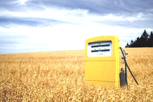 US poultry groups urge Congress to repeal RFS