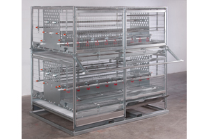 Combi pullet rearing system awarded Innov Space star