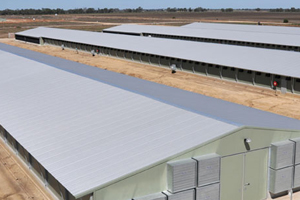Studying emissions downwind from a poultry house
