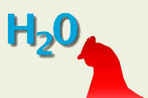 Ziggity launches Poultry Watering U website