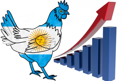 High expectations for Argentina’s poultry sector