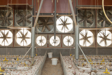 Improving attic inlet ventilation