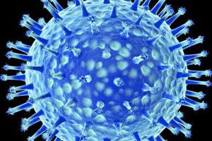 First human H5N1 death in North America