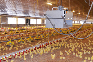 UK collaboration develops new broiler shed radiator