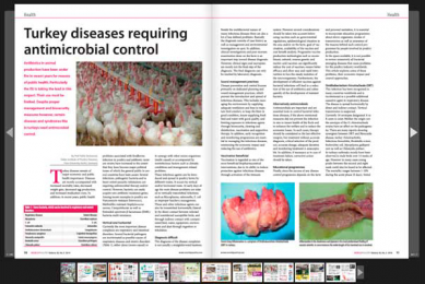 World Poultry nr 5 now available online