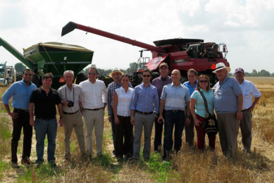 US grain sees opportunity in Latin America’s poultry