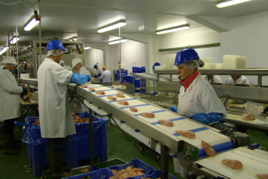 The battle against Salmonella in poultry production