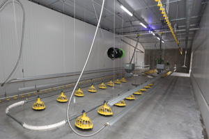 Ultra-modern stalls for Experimental Poultry Centre