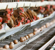 US support for welfare legislation gains momentum