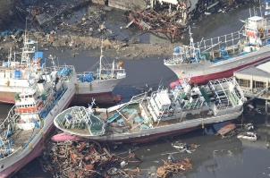 Japanese earthquake aftermath claimed 4.37 million chickens