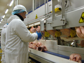 Good working conditions for productive plant personnel