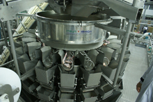 Meyn-Ishida completes processing installation in Russia