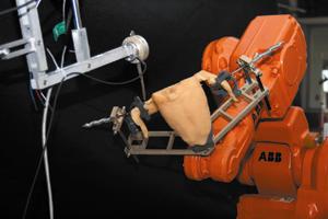 Robot and 3D imaging to automatically debone poultry