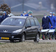 Netherlands turkey farm: Tests confirm low pathogenic AI (H5N2)