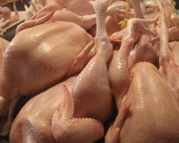 Ukraine market crisis forces increased poultry imports