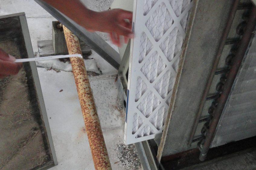 In ovo technology driving hatchery  modernisation