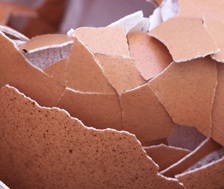 UK research into eggshell recycling to benefit producers