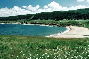 Canada will help Atlantic coast poultry farmers