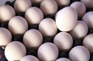 India slashes egg price in reaction to Oman ban