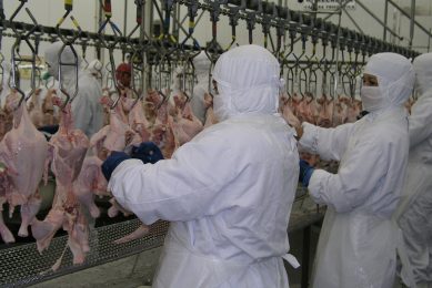 Brazil from dormant giant to agribusiness powerhouse