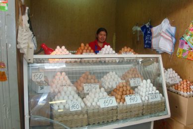 Kazakhstan: Room for growth in the race to cut imports