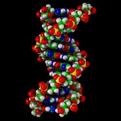 Reason for Salmonella rise possibly due to altered DNA