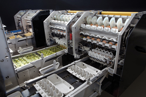 Staalkat introduces OptiGrader 400