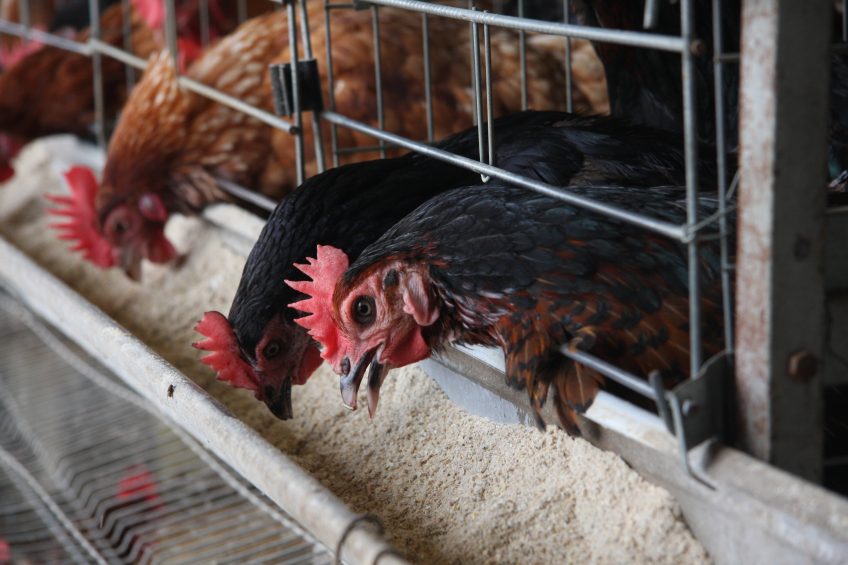 Detecting progress in disease control