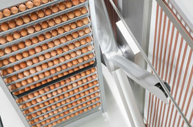 Nutripollo commissions Pas Reform for hatchery expansion