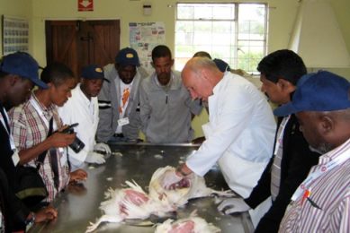 Nine African countries, 100 delegates, at Cobb Africa technical school