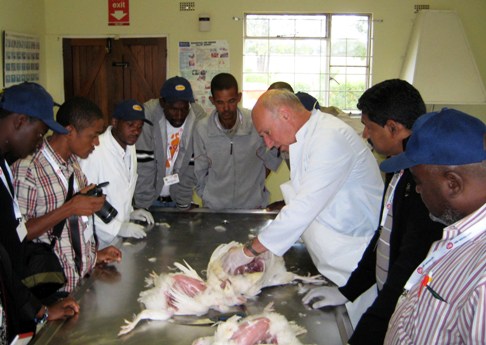 Nine African countries, 100 delegates, at Cobb Africa technical school