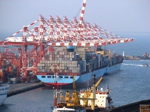 Sri Lanka may start producing poultry feed for export