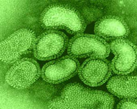 Bangladesh appoints avian influenza vaccination committee