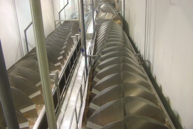 Time-temperature alternatives for controlling Salmonella