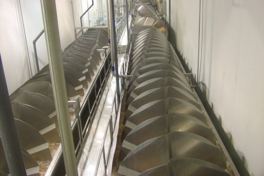 Time-temperature alternatives for controlling Salmonella