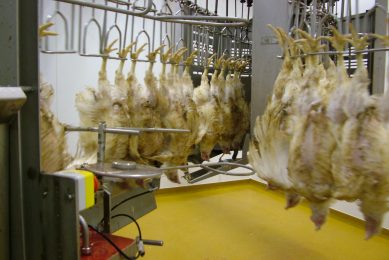 Keep the processing plant in good working order