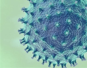 H5N1 outbreak in Xinjiang, China