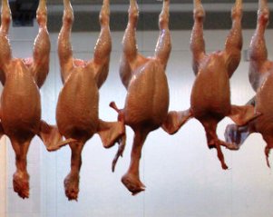 Russia reduces poultry industry support until 2020