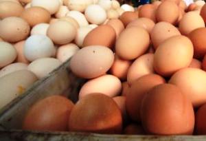 Eight cases of dioxin on German farms since April