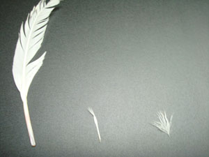 Good feather cover for optimising energy utilisation