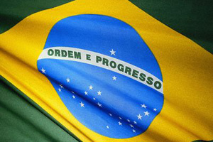 Brazilian poultry producers call for govt support