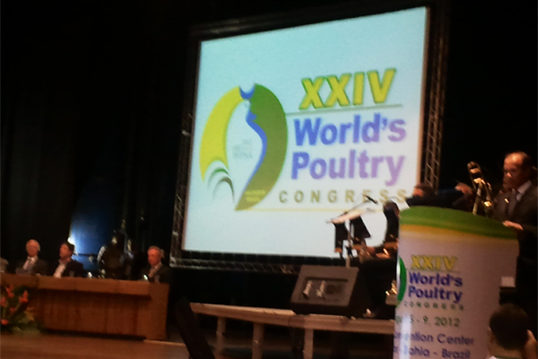 Poultry Olympics started in Brazil