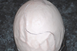 Knowing what influences egg quality