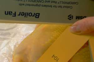 The effect of carotenoids on yolk and skin pigmentation