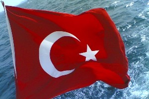 Egg production up by 0.4% in Turkey