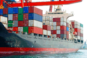 Algeria drops duties and VAT on poultry inputs