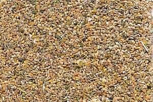 India’s farmers search for feed substitutes