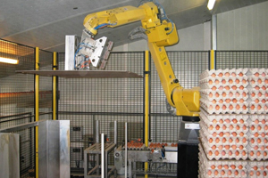 Innov’Space: Egg stacker Robot Junior