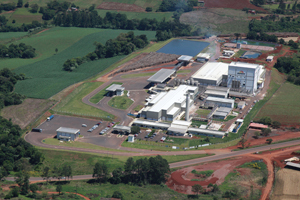 High feed costs cause shifts in Brazilian poultry market
